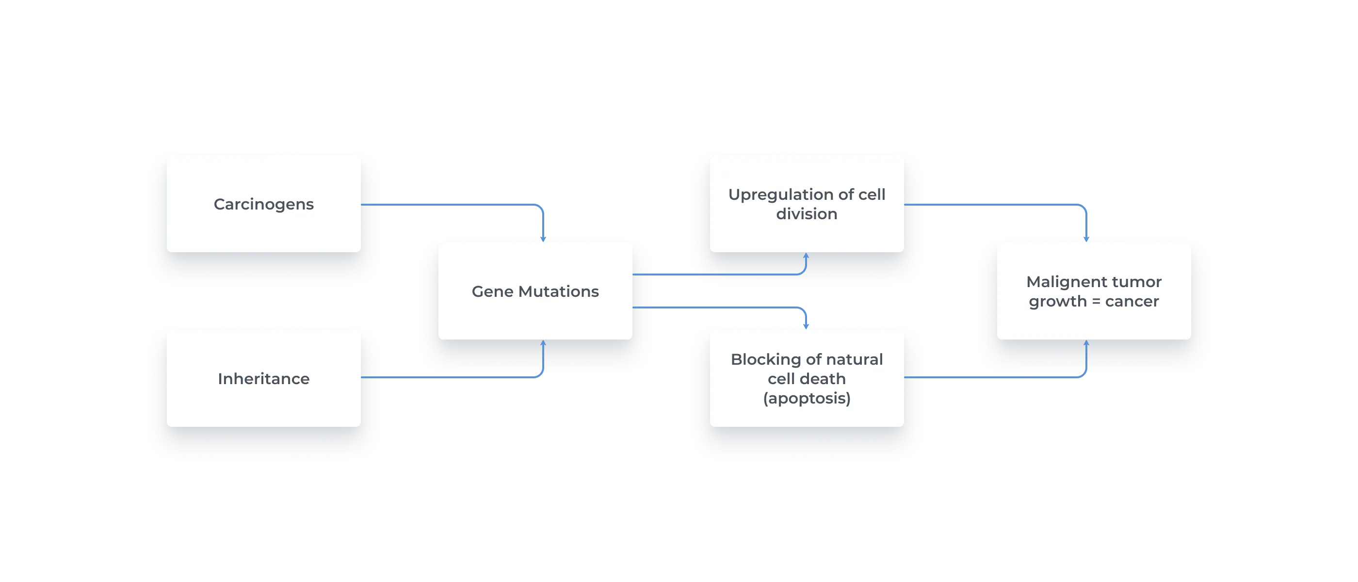 The genetic causal chain for cancer