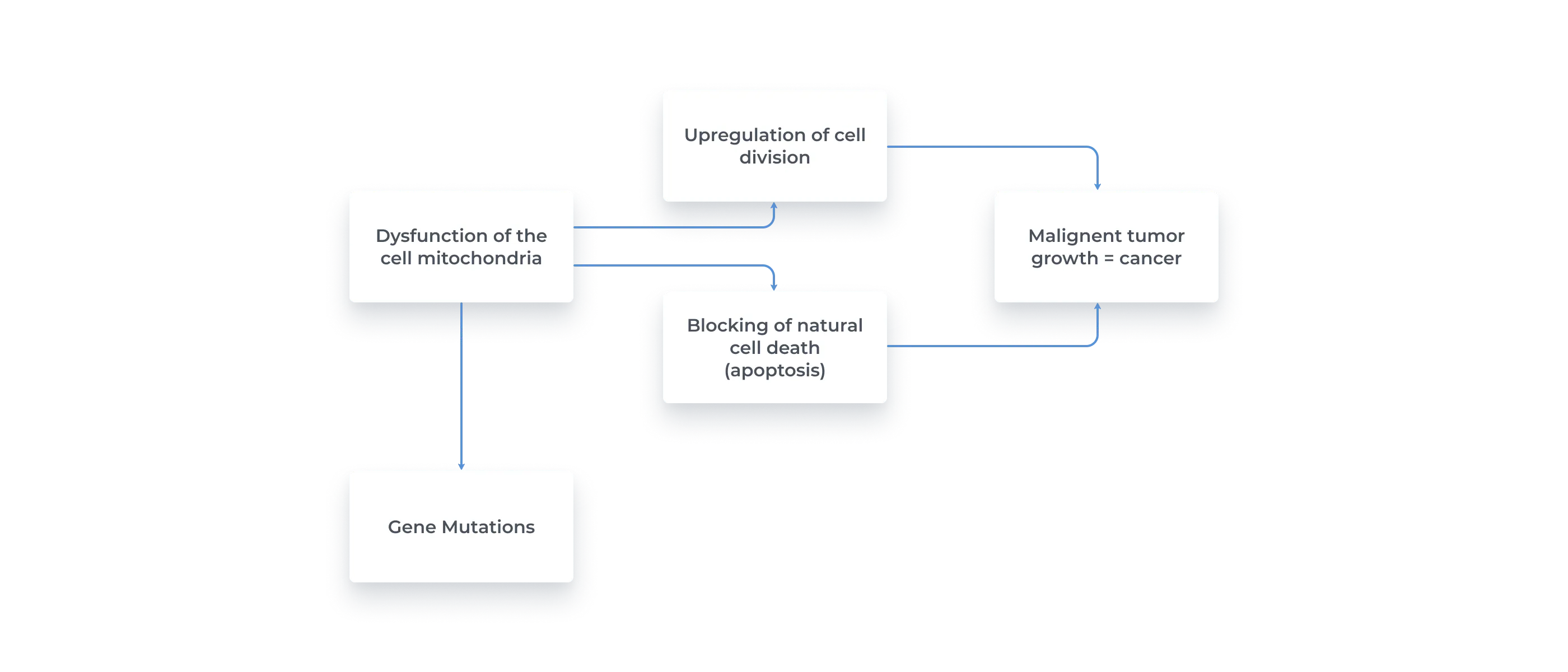 The metabolic causal chain for cancer